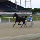 Free Dreams stretches out at the Forbury Park trials yesterday. Photo by Matt Smith.
