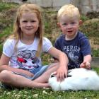 Freya (5) and James (2) Glover play with their 6-month-old rabbit Bunny Little in Dunedin...