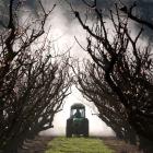 Fruit spraying. Photo by Stephen Jaquiery