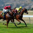 Fullavino (outer) gets up to beat Bowling Boy in the rating 85 1220m at Cromwell yesterday. Photo...
