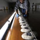 Gallery preparator Russell Soo installs <i>Pathway to the Sea - Aramoana</i>, which opened at the...