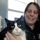 Green Island vet nurse Aimee Blair (22) cradles Batman the cat, who, like cats across Dunedin, is...