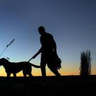 Greg Gray and his dog walk the Taieri River floodbank. Photo by Stephen Jaquiery.