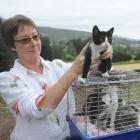 Halfway Bush resident Catherine O'Donnell with four of the nine cats dumped near her home. Photo...