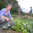 Harvest Community Gardens Network spokeswoman Robin Rawson works in the Gorge Rd Community Garden...