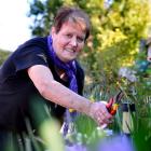 Hazel Jones, of Mosgiel, celebrates the 30th anniversary of her kidney transplant by spending...
