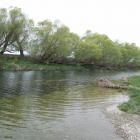 The Shag River at  Mill Rd, near Palmerston. Photo by Bill Campbell.