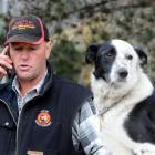 Head marshal Greg Metherell takes a call at the South Island sheep dog trial championships at...