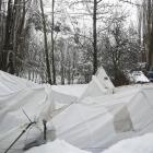 Heavy snow in June toppled old trees, damaged paths, and destroyed a marquee at the site of the...