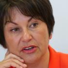 Hekia Parata says the ministry would put $160,000 over four years into the project and the...