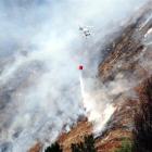 Helicopters fight a forest fire at Mt Allan last December. Photo by Peter McIntosh.