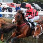 Ho Down,  who is attempting to improve on his fourth placing in the Grand National Steeplechase...