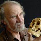 Holding a resin duplicate skull of Homo floresiensis, a previously unknown species of human...