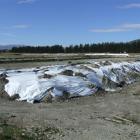 Huge mounds of biosolid sludge stored  near Wanaka. Photo by Matthew Haggart.