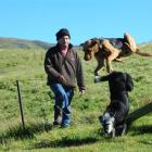 Hyde farmer Bevan Dowling with his dogs Fog and Kate, which cost him $108 to register with the...