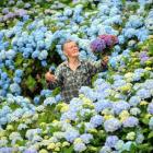 Hydrangea gardener Gerry Boyle is giving away the blooms from his massive flower garden at...