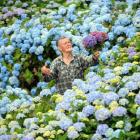 Hydrangea gardener Gerry Boyle is giving away the blooms from his massive flower garden at...