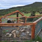 Inspecting  the new tuatara viewing pen are (from left) Orokonui Ecosanctuary volunteer Brendan...