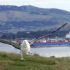 International shipping rates reductions have provided a boon for southern exporters. Pictured, an...