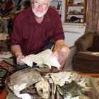 Invercargill teacher and naturalist Lloyd Esler at his Otatara home, with the turtle skeleton he...