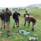 Invermay scientist Colin Ferguson (right) shows farmers in West Otago how to estimate likely...