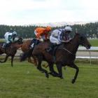 Irish Bay winning at Omakau on January 3 for Tony and Lyn Prendergast. She is back racing at...