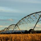 Irrigation at Maori Point. Photo by Stephen Jaquiery.