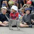 Isis the naturally spotted Egyptian Mau cat  joins some of  the pupils at the recent celebration...