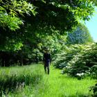 Janet Blair strolls through her garden near Lake Hayes at the weekend. It is one of two New...