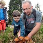 Jarn Hollows (8, left), Jack Orlovich (3) and Dr David Orlovich dig up some fungi during the...