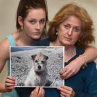 Jayne Bush (19) and her mother Debbie hold a treasured photo of their missing dog Ali, who  was...