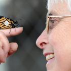 Jennifer Bradshaw with a male monarch butterfly, one of many she has tagged as part of a...