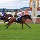 Jockey Terry Moseley salutes as Honor That crosses the line to win the Airfreight Stakes at...