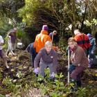 Joolz Carter-Moore and Jacqui Pittendreigh work with church volunteers to clear the overgrown...