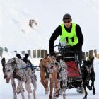 Julian Johnston, of North Canterbury, and his six-dog team of German pointers finish an 8km race....