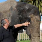 Jumbo the elephant with keeper Tony Ratcliffe, pictured here in Palmerston North last year. Photo...