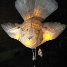 Katrina Thomson with her fantail lantern ready for the midwinter celebration. Photo by Jane Dawber.