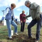 Keep Alexandra Clyde Beautiful group members (from left) Marian Bennetts, Karin Bowen and Sue...