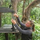 Kelly Gough refills a sugar-water bottle at a bird-feeding station while a tui looks on. Photos...
