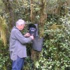 Ken Tustin checks a remote digital camera installed near Herrick Creek, Wet Jacket Arm, Fiordland...