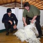 Kevin Hessell watches Geraldine shearer Joe Clark shear a sheep during a Tectra course in Kurow....