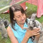 Kintella Rabbit Stud owner Pamela Platten (60) with Little Andy on the Dunedin stud quarantined...