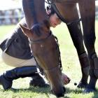 Kirsten Richards, of Kaiapoi had the opposite issue, trying to keep the hooves of her horse...