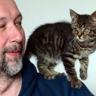 KITTEN_311214.JPG