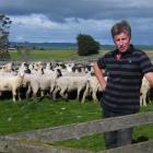 Knapdale farmer Mike Mouat hopes Meat & Wool New Zealand's predictions of lower lamb prices are...