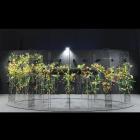 Korean Alex Choi's entry in the Floral Windows to the World was entitled "In the Beginning, There...