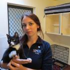 Lack of cats... SPCA animal attendant Rachel (checking last name) holds Gruff one of the few...