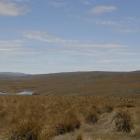 Lammermoor, the proposed site of Meridian Energy's Project Hayes. Photo by Stephen Jaquiery.