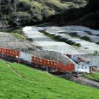 Land beside Dunedin's Forrester Park BMX track was fenced off after material containing asbestos...