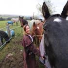 Highland Horse Haven director Lauren Moses walks with some of the horses being rehabilitated at...